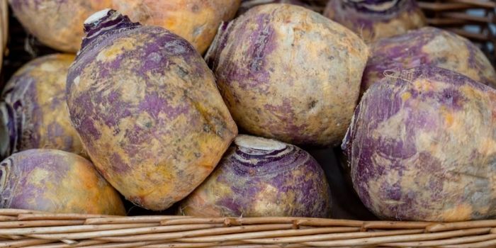 Rutabaga